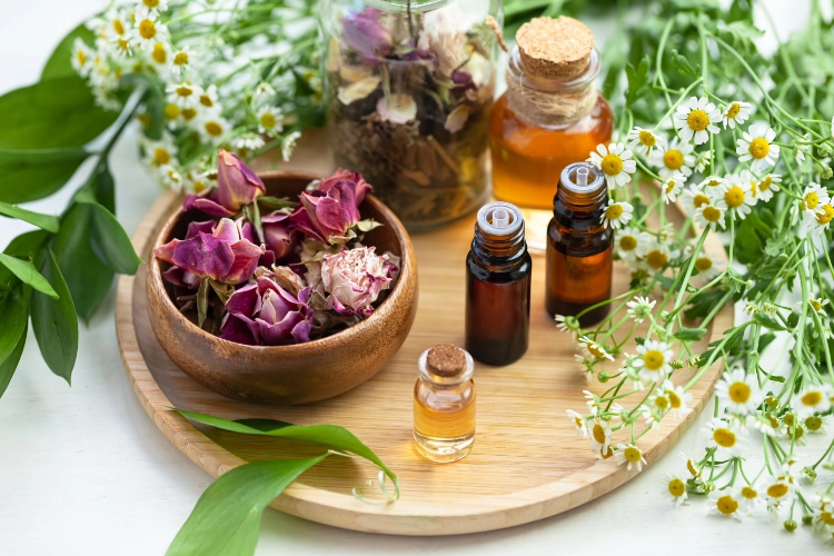 Hakuna Mamma | Soins Femmes et Bébés | Consultation de Naturopathie